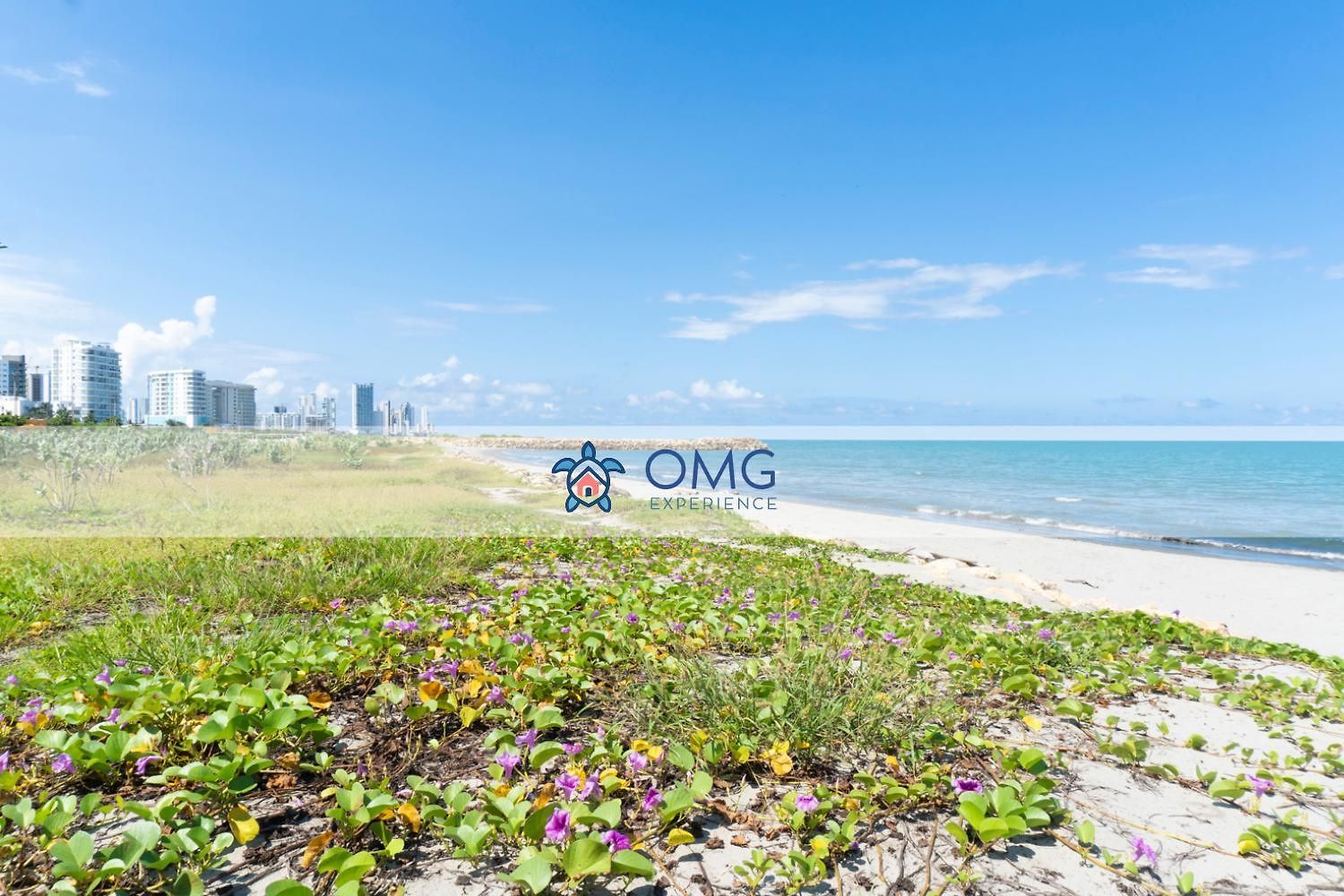 Vista Al Mar Con Hamaca Y 2 Camas Queen P 12 Apartamento *